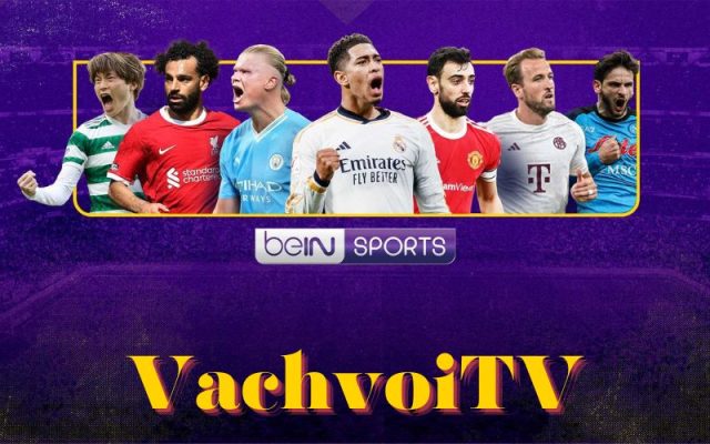 vachvoi tv