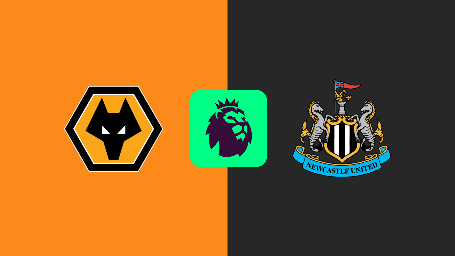 wolves vs newcastle