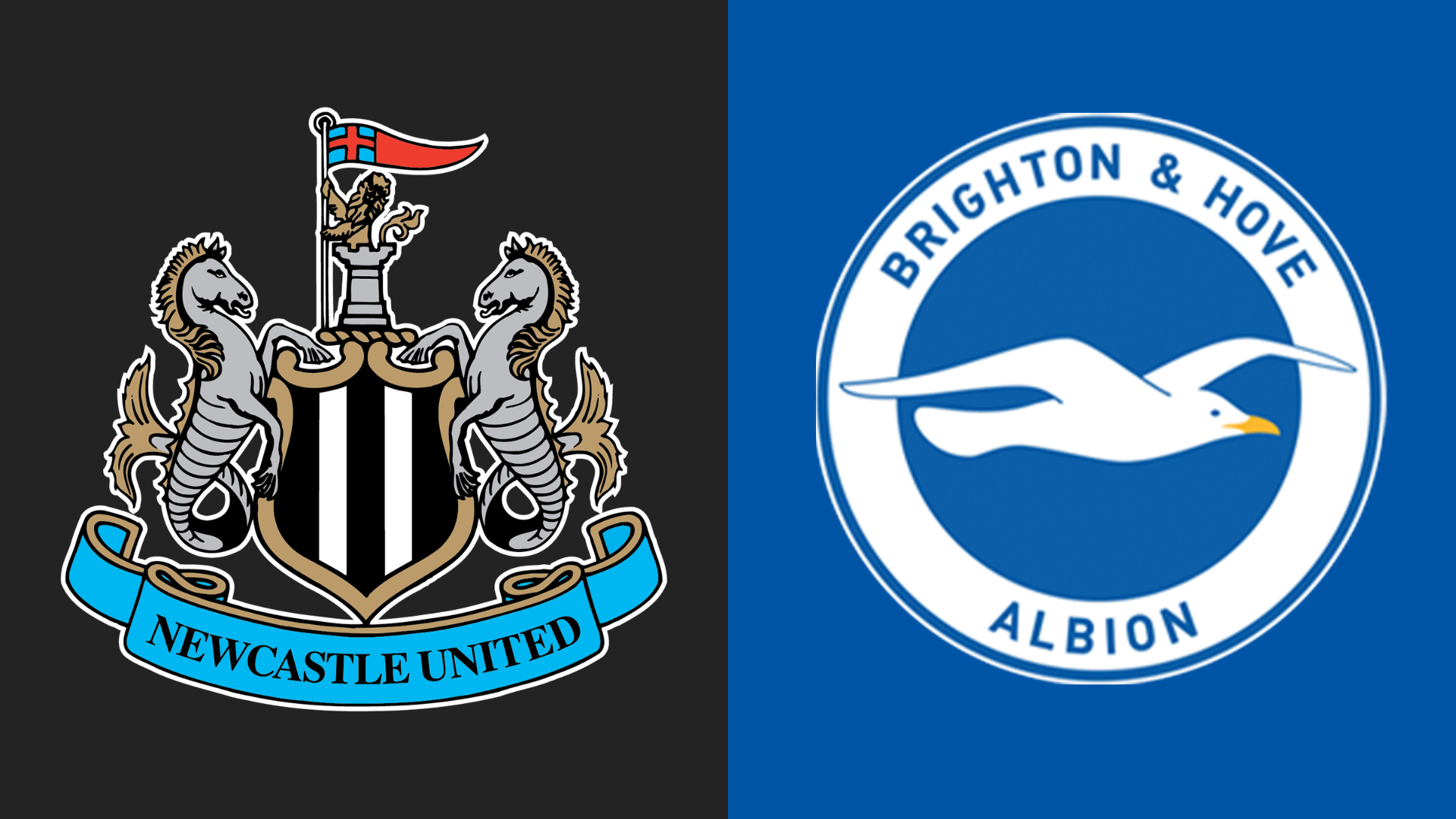 Newcastle vs Brighton