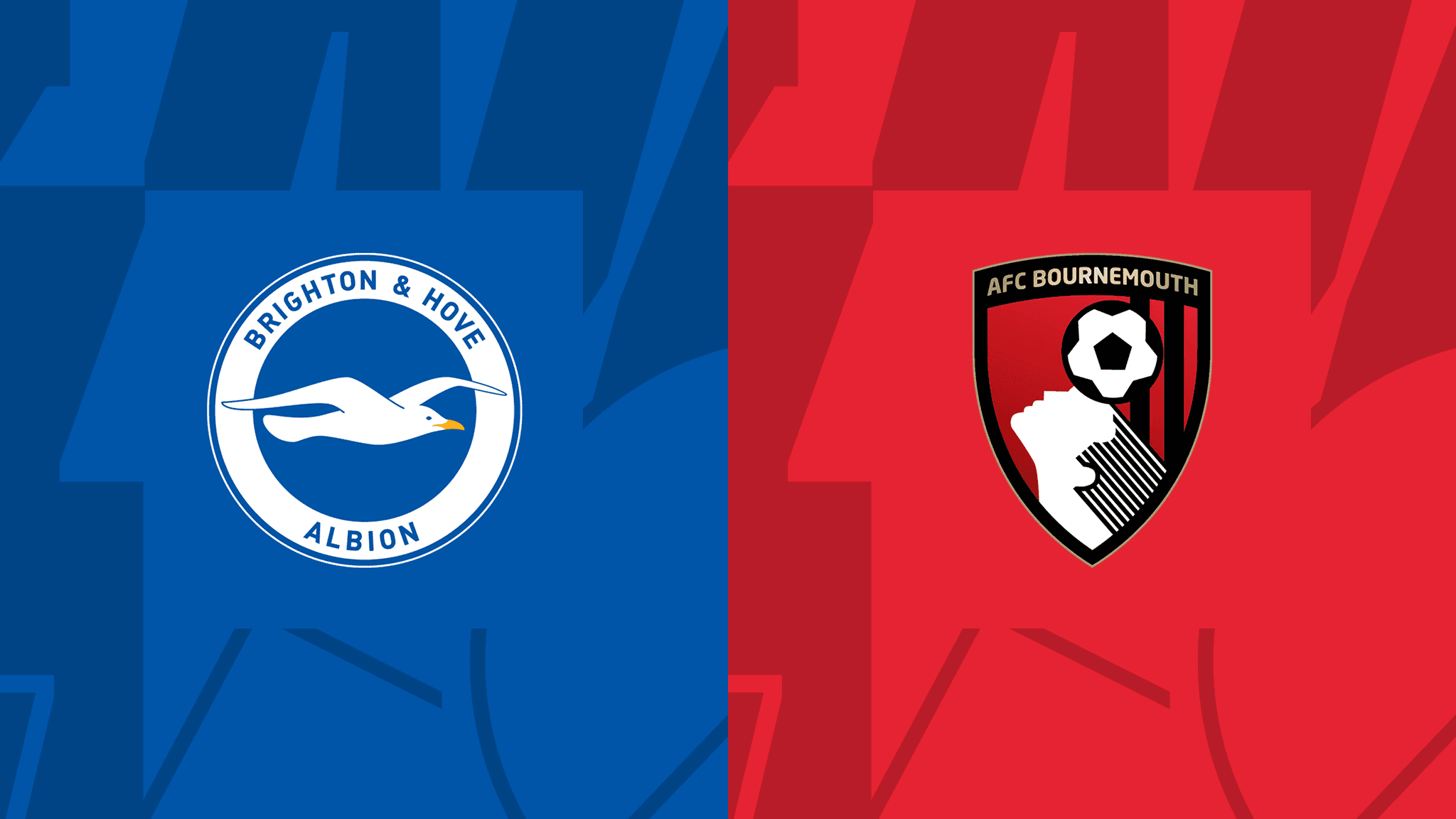 Bournemouth vs Brighton 