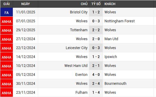 newcastle vs wolves