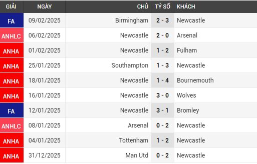 man city vs newcastle